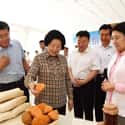主页厚望小图2