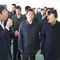 主页厚望小图6
