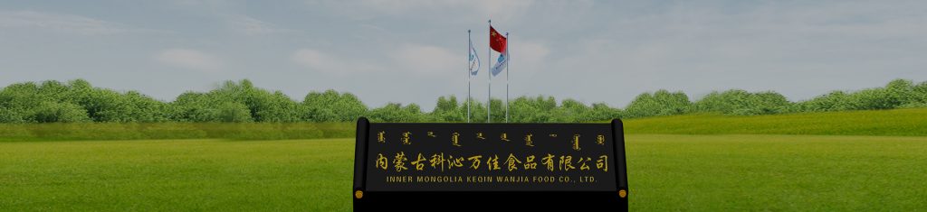 fermented seasoning innovation