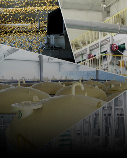  Zero-Additive Fermentation